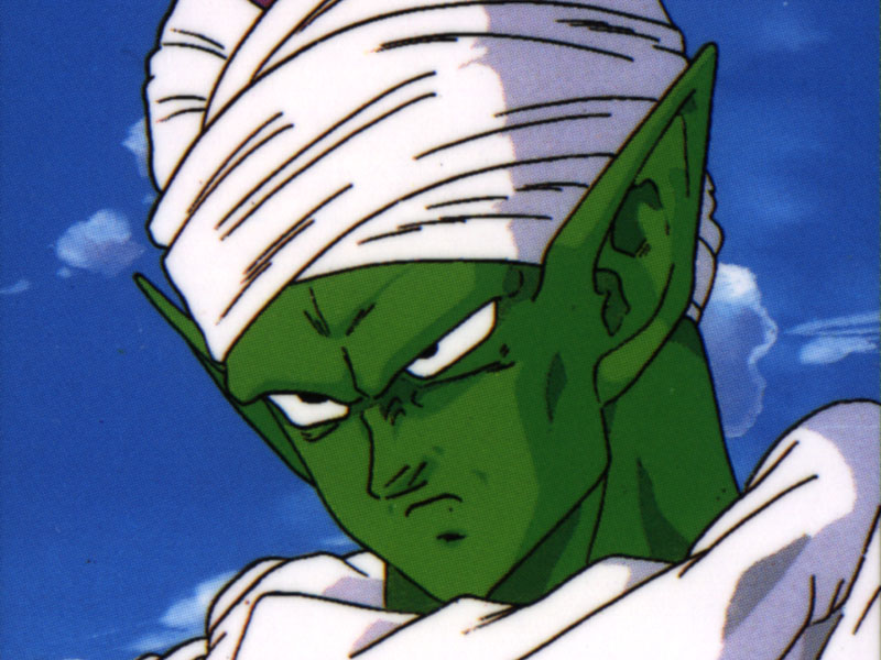 piccolo37.gif