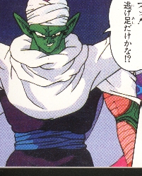 piccolo37.gif