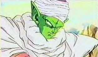 piccolo37.gif