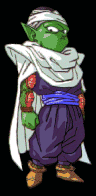 piccolo37.gif