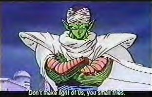 piccolo37.gif