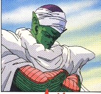 piccolo37.gif