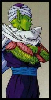 piccolo37.gif