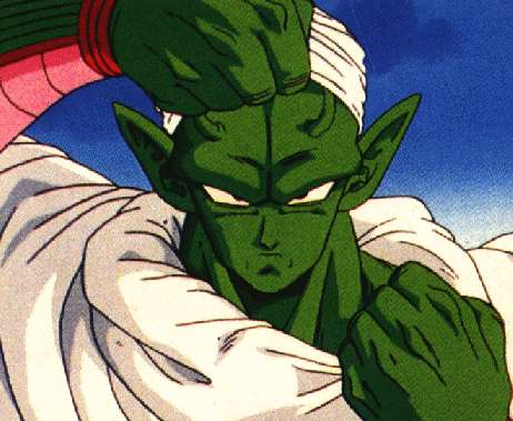 piccolo37.gif